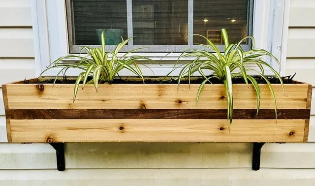 Cedar and black walnut window flower box